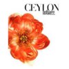 Nước hoa Ceylon Nữ chính hãng Perfumes Isabell
