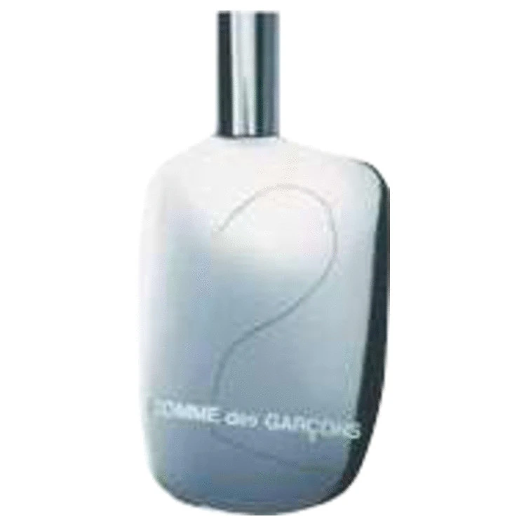 Comme des garcons 2 edp 90ml best sale