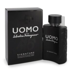 Salvatore Ferragamo Uomo Signature Eau De Parfum (EDP) Spray 100 ml (3
